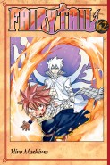 Fairy Tail V 55 To Read Online